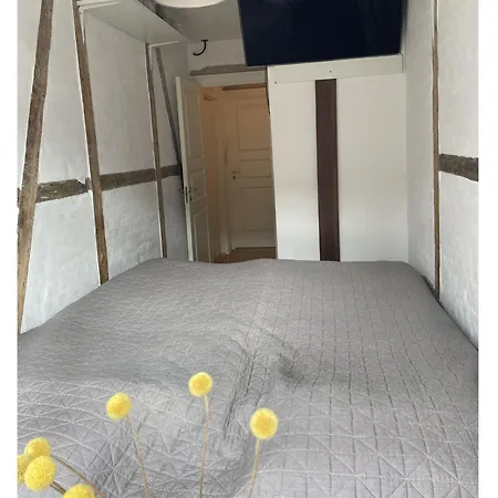 Apartmentincopenhagen 1619 公寓 哥本哈根